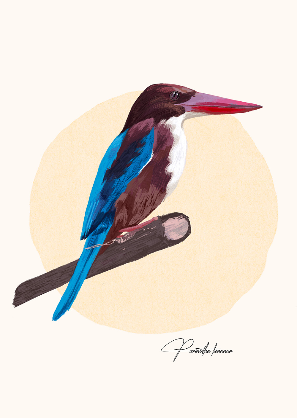 Houses of Goa , Goan heritage, Art print, Indian Art, Interior and home décor, Parinitha Konanur , Fable and Hue, Birds , Flora And Fauna